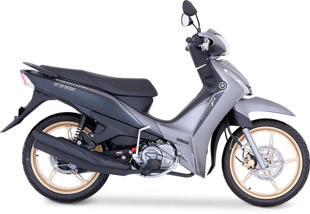 [T115FL-5C] MOTOCICLETA CRYPTON T115 (GRIS NEGRO)